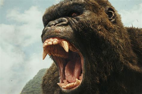 Kong Skull Island Omits The Most Important Part Of King Kongs Story Vox