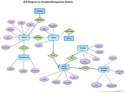 Bloodbank erd ( Entity Relationship Diagram) | Creately