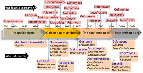 Timeline Depicting The Discovery Of Major Antibiotics And Subsequent