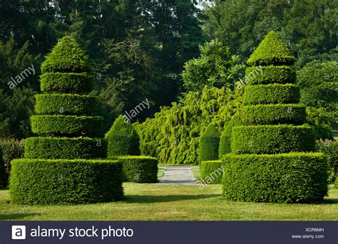 The Topiary Garden High Resolution Stock Photography And Images Alamy