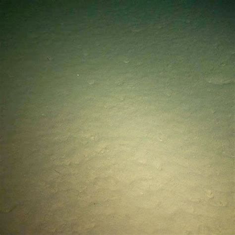 Seafloor Sunday Latest News Photos And Videos Wired