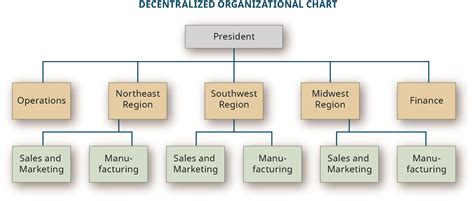 7 types of organizational structures examples key elements whatfix porn sex picture