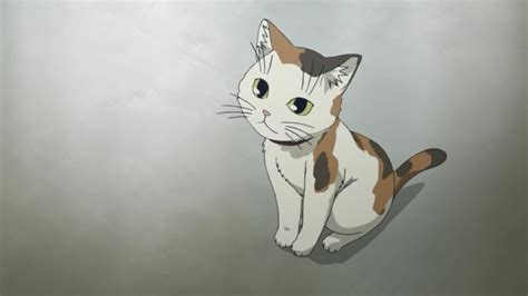 Annahof Laabat Anime Calico Cat Names