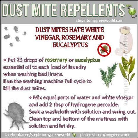 1000 Images About Dustmite Allergy On Pinterest Carpets Wool And