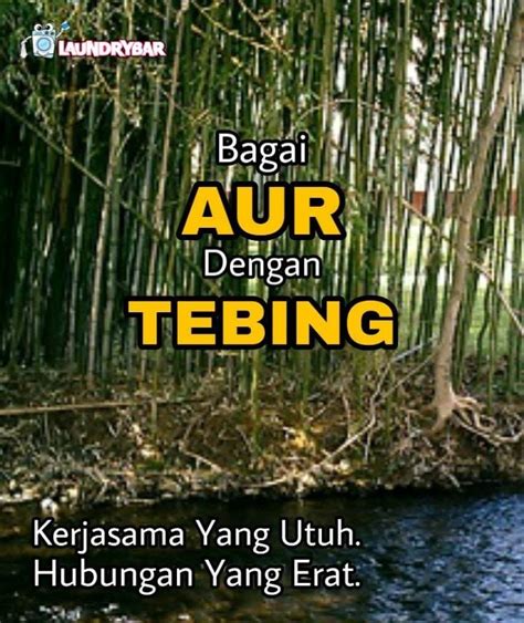 Bagai berumah di tepi tebing =selalu tidak aman hatinya. Bagai Aur Dengan Tebing - dino-syukl