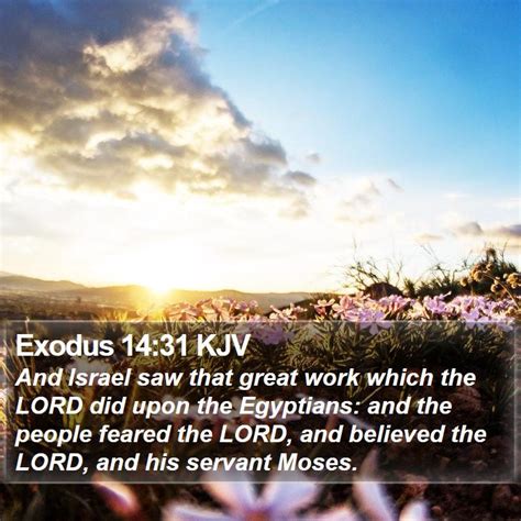 Exodus 14 Scripture Images Exodus Chapter 14 Kjv Bible Verse Pictures