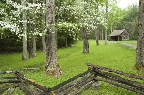 4 Tips To Help You Enjoy Cades Cove Activities In The Spring