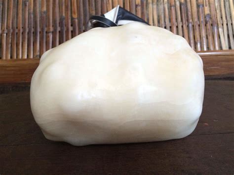 Rare Giant Natural Pearl 1025 Kgs Collectors Weekly
