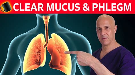 1 Cup A Day Dissolves Mucus And Phlegm Right Away Dr Mandell Youtube