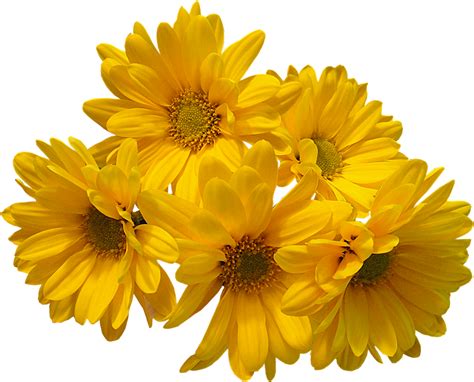 Download Download Yellow Flowers Bouquet Transparent Image HQ PNG Image | FreePNGImg