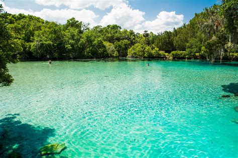 Silver Glen Springs Is The Perfect Natural Swimming Hole In Florida