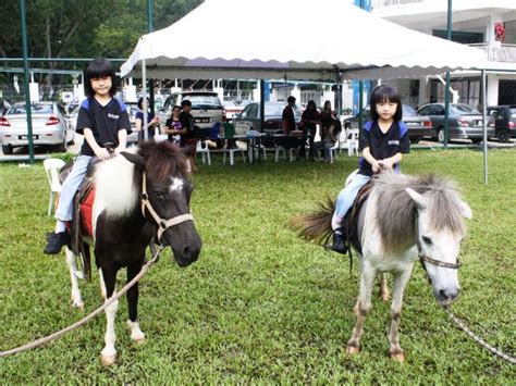 Petting Zoo Malaysia Pony Ride Services Malaysia