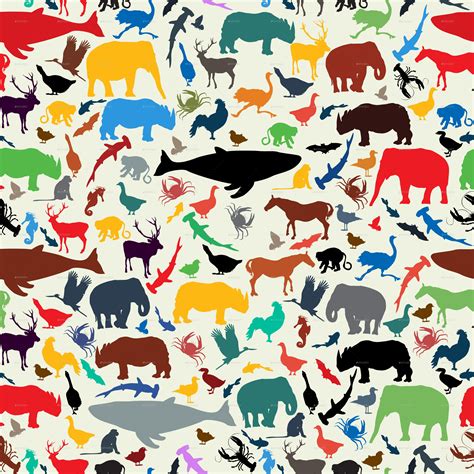 Animals With Patterns