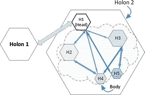 Holon Head Body Diagram Arrows Represent Communications And H1