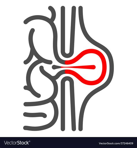 Inguinal Hernia Line Icon Human Diseases Concept Vector Image