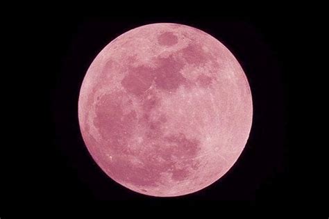 Other names for it are seed moon, sprouting. The Pink Moon is Coming - 2021 Pink Moon Supermoon