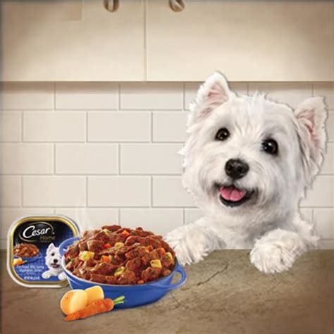 Get 28 dr marty pets coupon codes and promo codes at couponbirds. FREE Cesar® Home Delights™ wyb PEDIGREE Dog Food at Dollar ...