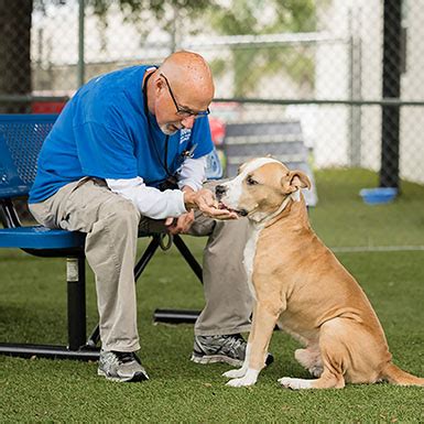 The pet adoption center of orange county is closed to the public until the state of california stay at home it's time to sign up if you want to sponsor or have a booth! OCAS Homepage