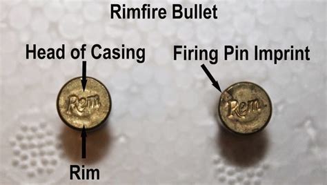 Centerfire Vs Rimfire Ammunition What Is Difference