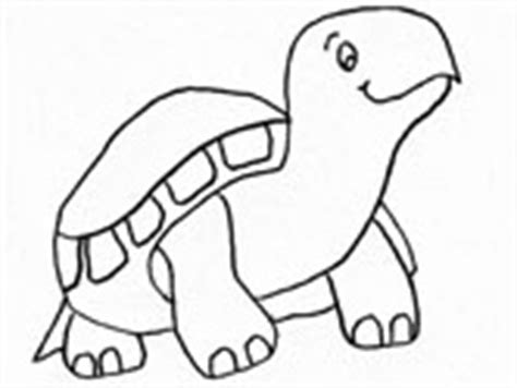 Turtles Coloring Pages