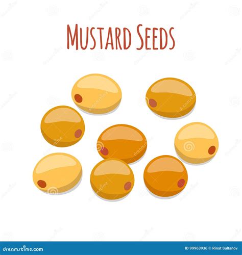 Mustard Seeds Organic Condiment Cartoon Flat Style Vector