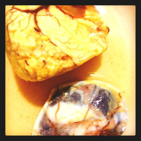 Yummy Tasty Balut Balut Asian Food Tasty Yummy