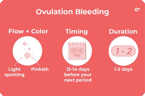 ovulation bleeding vs implantation bleeding how long does it last inito