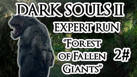 Dark Souls Ii Scholar Of The First Sin Expert Run 2 Forest Of
