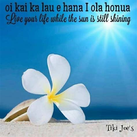 Live Your Life While The Sun Is Still Shining Hawaiian Quotes