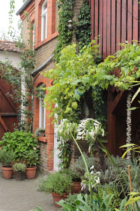 Jeden tag habe ich mich über den anblick geärgert, bis ich endlich die perfekte farbe bei toom entdeckt habe. Held am Herd - Garten Fräulein - Der Garten Blog