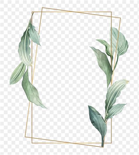 Gold Frame Decorated With Hand Drawn Tropical Leaves Poster Transparent