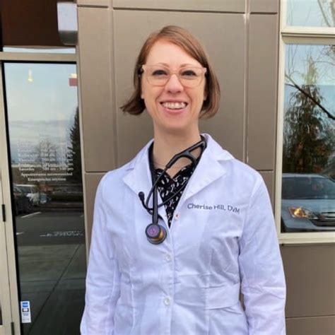 Clinical trials help our veterinarians discover new ways to diagnose, prevent, and treat conditions that affect your pet. Veterinarians Near Me 97229 - Bethany Family Pet Clinic