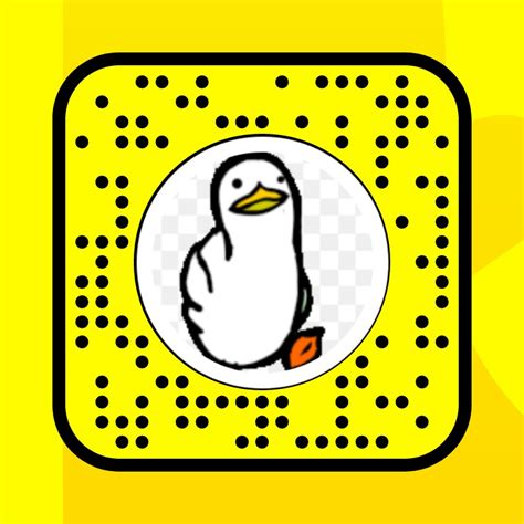 Duck Glasses Lens By Toby Snapchat Lenses And Filters