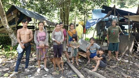 Mengenal Suku Dayak Punan Suku Pedalaman Penjaga Hutan Kalimantan Sexiz Pix