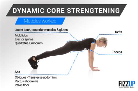 Step Up Your Fitness Training With Dynamic Core Strengthening Fizzup