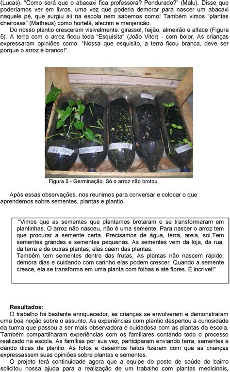 Como Nascem As Plantas