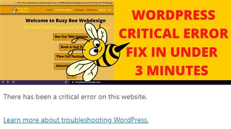 Fix There Has Been A Critical Error On Your Website Easy Fix YouTube