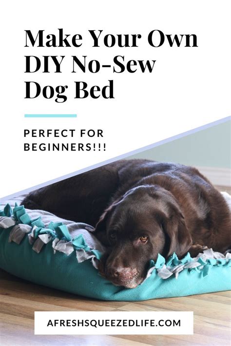 How To Make A Diy No Sew Dog Bed A Fresh Squeezed Life In 2020 Dog