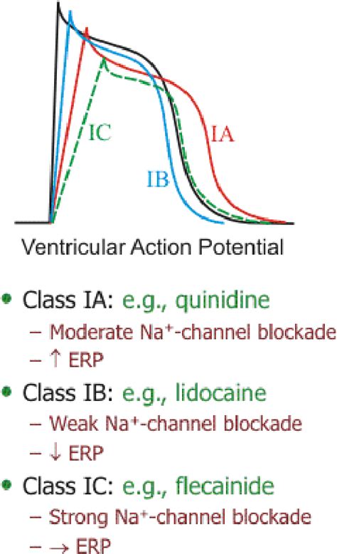 Figure From Pharmacology Class Sodium Channel Blockers Antiarrhythmic Drugs Semantic