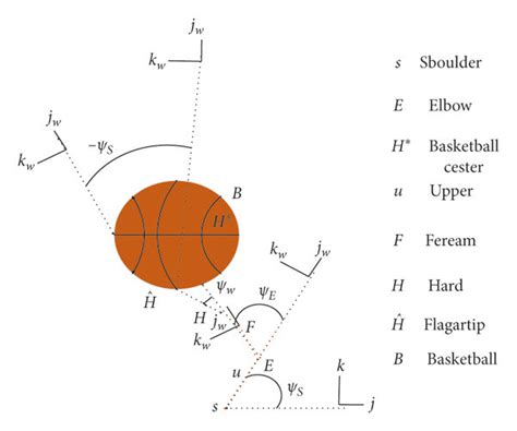 Geometry Of The Shooting Arm With Basketball Download Scientific Diagram