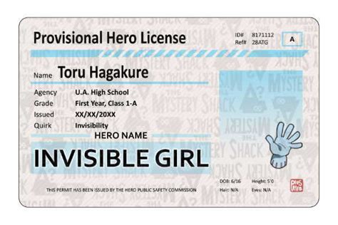 Provisional Hero Licenses My Hero Academia Themysteryshack