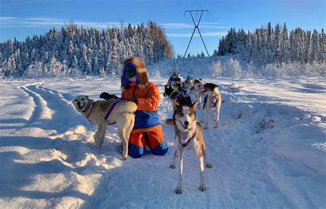 Mush You Huskies Let Loose Your Inner Musher At Dream A Dream Sled