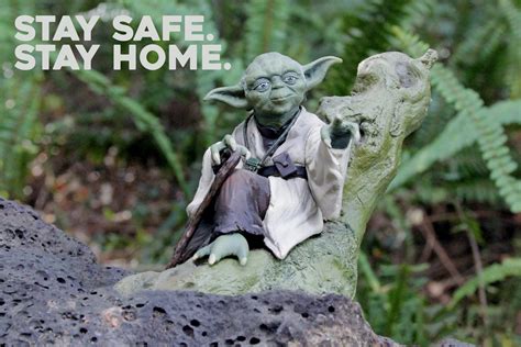 With so far during lockdown 2.0 retail telcos and network provider chorus reported increases in traffic speaking to the nz herald, consumer gm taryn hamilton said, some customers that signed up. Buying & Selling Star Wars During Level 3 Lockdown - SWNZ ...