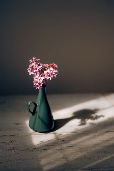 Woman with a flower • 1891. Free Images : roses, rose, scissors, book, love, red ...