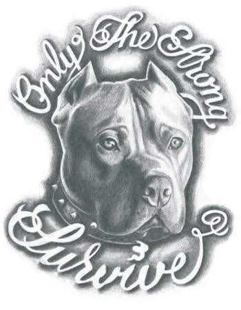Pin by Jordan Guerry on tattoos in 2020 | Pitbull art, Pitbulls