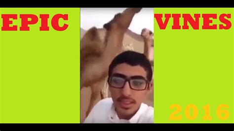 Best Vines 2016 Funny Video Compilation Youtube
