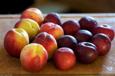 A round fruit with sweet yellow flesh that has a lot of juice, a slightly furry red and yellow…. Fresh Peach and Plum Tart Recipe