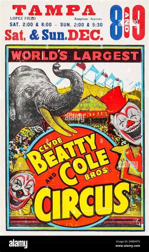 Circus Poster Clyde Beatty Cole Brothers Circus 1950s Window Card