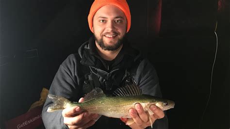 Walleye are some of the most fun fish species to catch. My Best Ice fishing trip this season-Walleye Catch & Cook ...