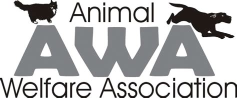 What are our responsibilities to improve animal welfare? Animal Testing timeline | Timetoast timelines